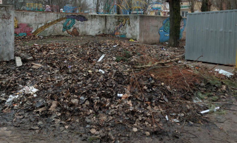 "А вокруг - срач. Это кошмар", - жители Корабельного района о мусоре и кучах листвы (видео) | Корабелов.ИНФО image 1