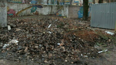 "А вокруг - срач. Это кошмар", - жители Корабельного района о мусоре и кучах листвы (видео) | Корабелов.ИНФО image 1