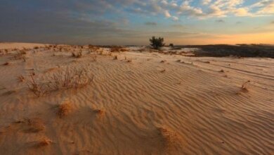 Юг Украины может превратиться в пустыню | Корабелов.ИНФО