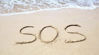 7 февраля - Григорий-весноуказатель. Народные приметы и важные события дня | Корабелов.ИНФО