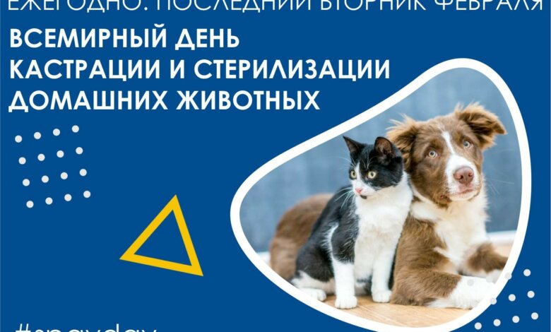 23 февраля - Прохор Весновей, Харлампий, Всемирный День стерилизации животных | Корабелов.ИНФО