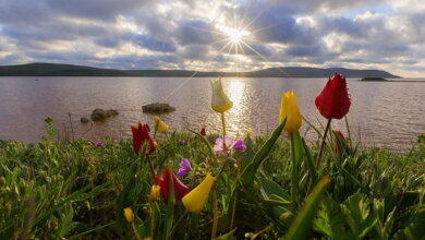 5 марта - День рождения степлера, День выключенных гаджетов и День пейзажей | Корабелов.ИНФО