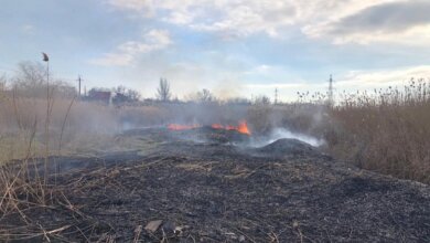 В Корабельном районе из-за поджога горел камыш | Корабелов.ИНФО