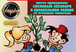 Мусор из леса возле пляжа в Корабельном районе продадут через аукцион в Инстаграм | Корабелов.ИНФО