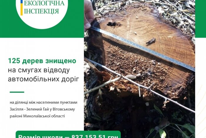 В Витовском районе спилили свыше ста деревьев — ущерб оценили почти в миллион | Корабелов.ИНФО