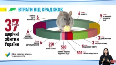 У Украины ежегодно крадут $37 млрд, - Саакашвили | Корабелов.ИНФО