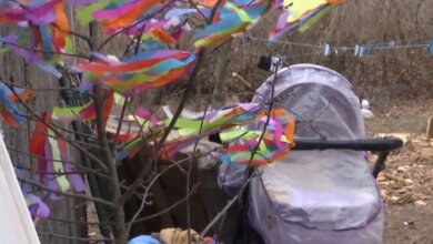 Под Ровно кот задушил 4-месячного младенца в коляске | Корабелов.ИНФО image 2