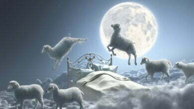 12 марта - Международный день сна, Всемирный день против кибер-цензуры | Корабелов.ИНФО