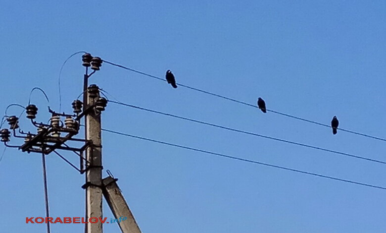 COVID на Николаевщине: ещё 153 новых случая и 3 умерших за сутки | Корабелов.ИНФО