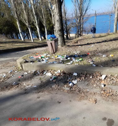 "А вокруг - срач. Это кошмар", - жители Корабельного района о мусоре и кучах листвы (видео) | Корабелов.ИНФО image 6
