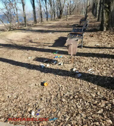 "А вокруг - срач. Это кошмар", - жители Корабельного района о мусоре и кучах листвы (видео) | Корабелов.ИНФО image 5