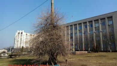 COVID в Корабельном: еще 4 смерти; продолжают болеть более 500 жителей района | Корабелов.ИНФО
