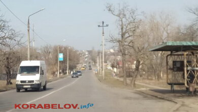 Под Ровно кот задушил 4-месячного младенца в коляске | Корабелов.ИНФО image 1