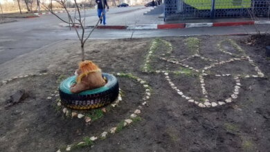 26 марта - День Национальной гвардии Украины, "Фиолетовый день" | Корабелов.ИНФО image 2