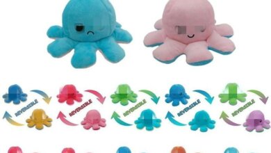 Осьминог перевертыш – любимая плюшевая игрушка. | Корабелов.ИНФО