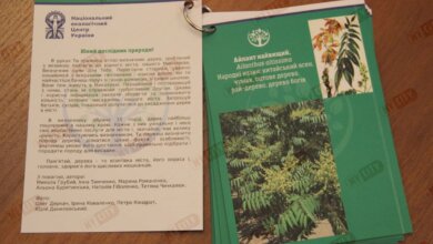 В Миколаєві презентували довідник дерев, які можна побачити на вулицях міста | Корабелов.ИНФО image 4