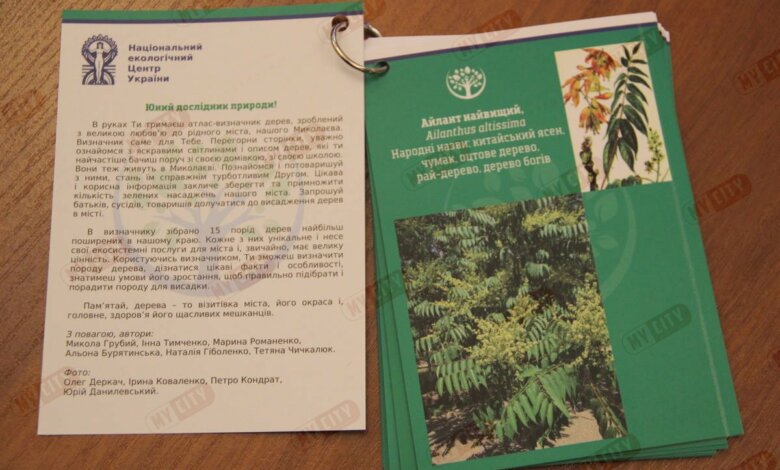 В Миколаєві презентували довідник дерев, які можна побачити на вулицях міста | Корабелов.ИНФО image 4