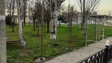 Строительство АТБ: в зеленой зоне возле автовокзала снова устанавливают забор (видео) | Корабелов.ИНФО