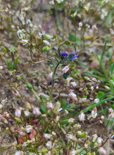 "Это позор и стыд, что мы живём среди таких людей", - николаевцы о кучах мусора в Балабановском лесу | Корабелов.ИНФО image 8