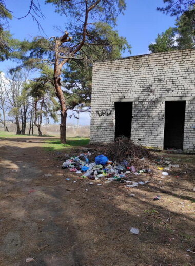 "Это позор и стыд, что мы живём среди таких людей", - николаевцы о кучах мусора в Балабановском лесу | Корабелов.ИНФО image 4