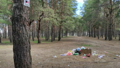 "Это позор и стыд, что мы живём среди таких людей", - николаевцы о кучах мусора в Балабановском лесу | Корабелов.ИНФО image 1