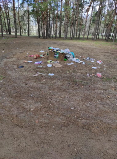 "Это позор и стыд, что мы живём среди таких людей", - николаевцы о кучах мусора в Балабановском лесу | Корабелов.ИНФО image 6