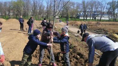 "В скандальную глину": дети с родителями в парке "Богоявленский" высадили аллею ясеней | Корабелов.ИНФО image 1