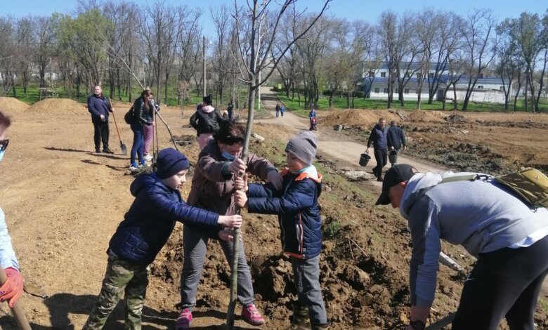 "В скандальную глину": дети с родителями в парке "Богоявленский" высадили аллею ясеней | Корабелов.ИНФО image 1