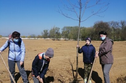 "В скандальную глину": дети с родителями в парке "Богоявленский" высадили аллею ясеней | Корабелов.ИНФО image 5