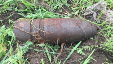 В трёх метрах от тропинки: в Корабельном районе найден крупный снаряд | Корабелов.ИНФО