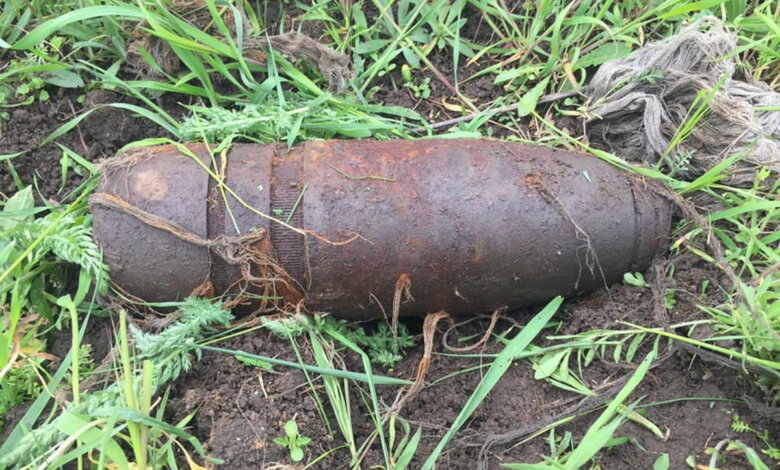 В трёх метрах от тропинки: в Корабельном районе найден крупный снаряд | Корабелов.ИНФО