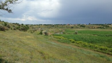 Чиновники нашли 15 свободных земельных участков в Николаеве | Корабелов.ИНФО