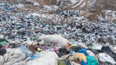 Галициновский сельсовет обязали убрать незаконную свалку до 10 мая | Корабелов.ИНФО