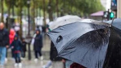 Вихідними та на початку наступного тижня на Миколаївщині дощитиме | Корабелов.ИНФО