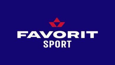 Ставки и максимальные выигрыши в БК Favorit | Корабелов.ИНФО