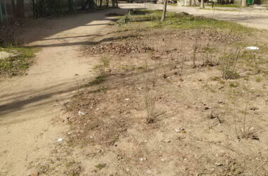 "Сложили листья на ничейной территории": в Корабельном возмущены бездеятельностью "коммунальщиков" | Корабелов.ИНФО image 4