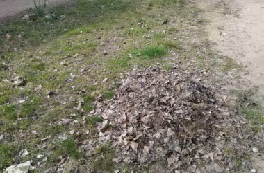 "Сложили листья на ничейной территории": в Корабельном возмущены бездеятельностью "коммунальщиков" | Корабелов.ИНФО image 2