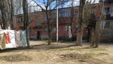 "Сложили листья на ничейной территории": в Корабельном возмущены бездеятельностью "коммунальщиков" | Корабелов.ИНФО image 8