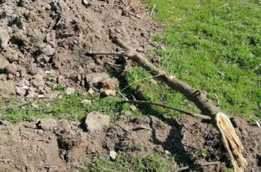 Предприниматель-"вандал" еще и обматерил жительниц Корабельного района. Видео 18+ | Корабелов.ИНФО image 3