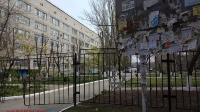 «Дурацкий график не влияет на ситуацию», - главврач "инфекционки" попросила запустить транспорт в Николаеве | Корабелов.ИНФО image 2