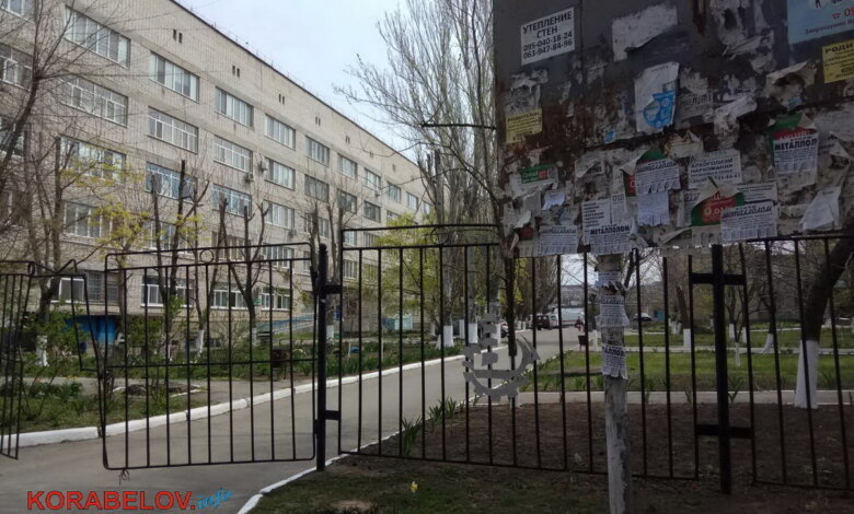 «Дурацкий график не влияет на ситуацию», - главврач "инфекционки" попросила запустить транспорт в Николаеве | Корабелов.ИНФО image 2