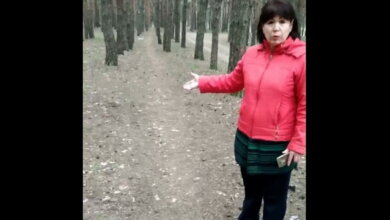 Женщины боятся гулять в Балабановском лесу из-за пугающего их мужчины (видео) | Корабелов.ИНФО