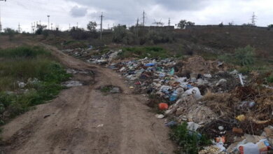 "Слабоумие этих особей поражает": опубликованы фото жителей Корабельного района, устроивших мусорную свалку | Корабелов.ИНФО image 11