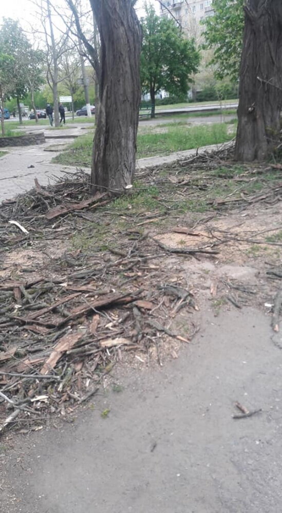 Обрезая деревья, подрядчик разрушил тротуарную плитку и асфальт в Корабельном районе (Видео) | Корабелов.ИНФО image 2
