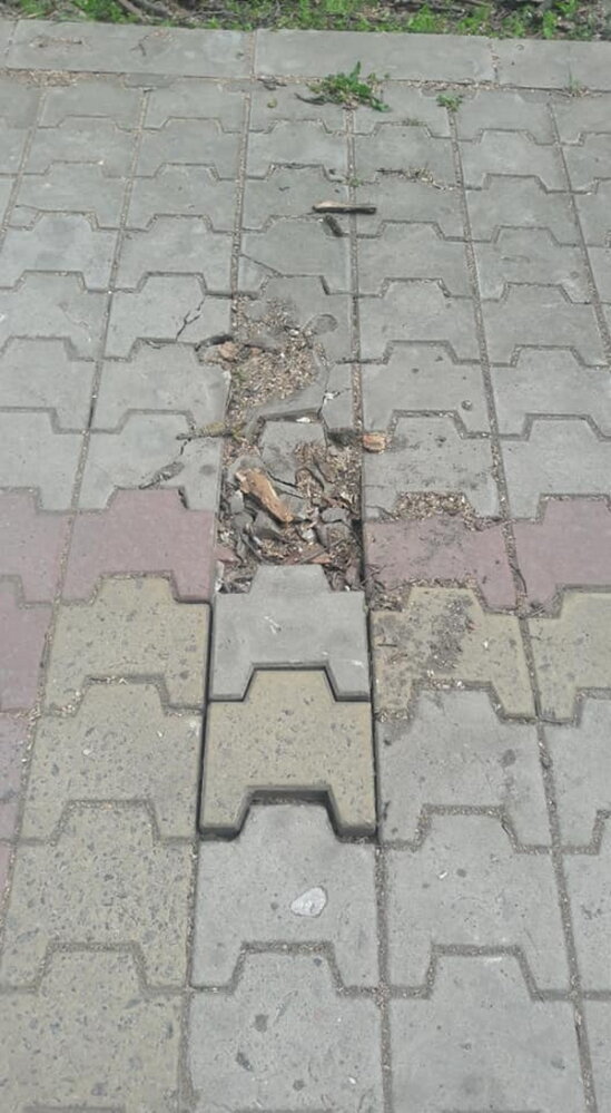 Обрезая деревья, подрядчик разрушил тротуарную плитку и асфальт в Корабельном районе (Видео) | Корабелов.ИНФО image 3