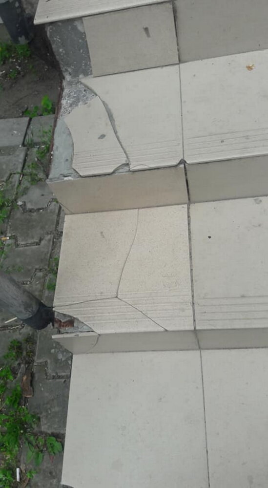 Обрезая деревья, подрядчик разрушил тротуарную плитку и асфальт в Корабельном районе (Видео) | Корабелов.ИНФО image 4