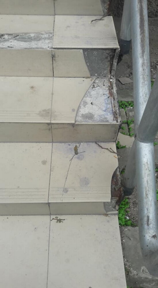 Обрезая деревья, подрядчик разрушил тротуарную плитку и асфальт в Корабельном районе (Видео) | Корабелов.ИНФО image 6