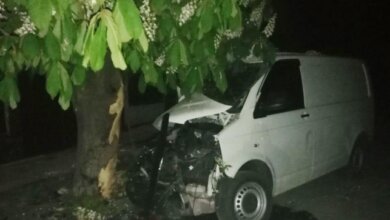 На Николаевщине минивэн врезался в дерево – водитель погиб | Корабелов.ИНФО