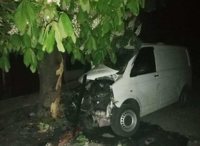 На Николаевщине минивэн врезался в дерево – водитель погиб | Корабелов.ИНФО