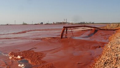 Яд высокого уровня токсичности: Госэкспертиза назвала состав красного шлама НГЗ | Корабелов.ИНФО